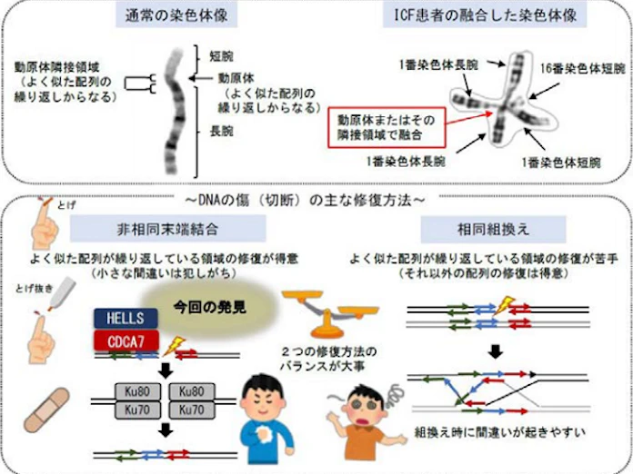 日本経済新聞
