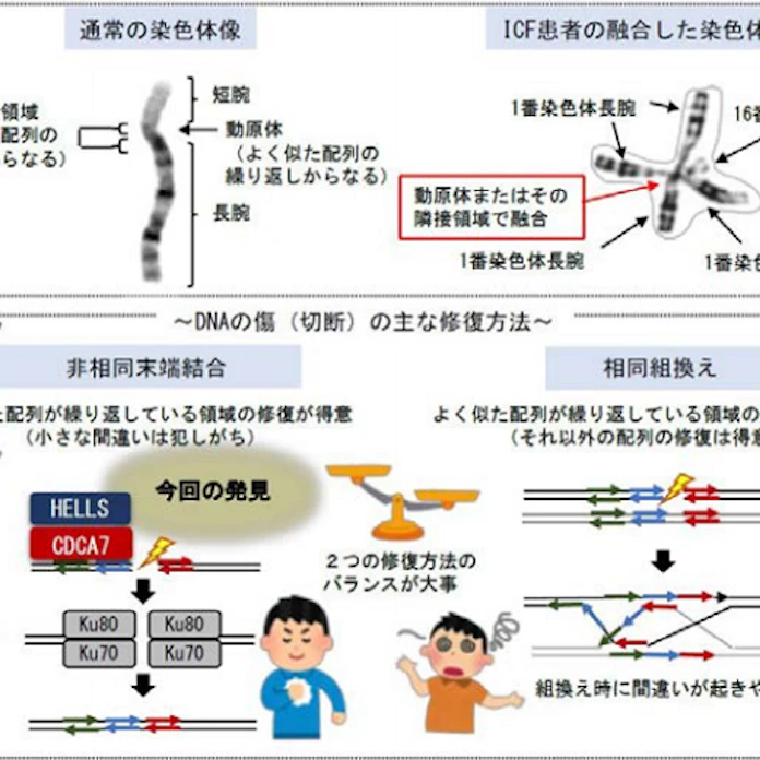 日本経済新聞
