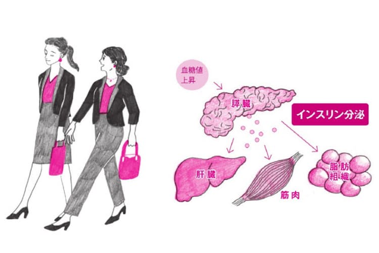 食後高血糖防ぐならやっぱり運動 早足歩きや階段歩行 Nikkei Style