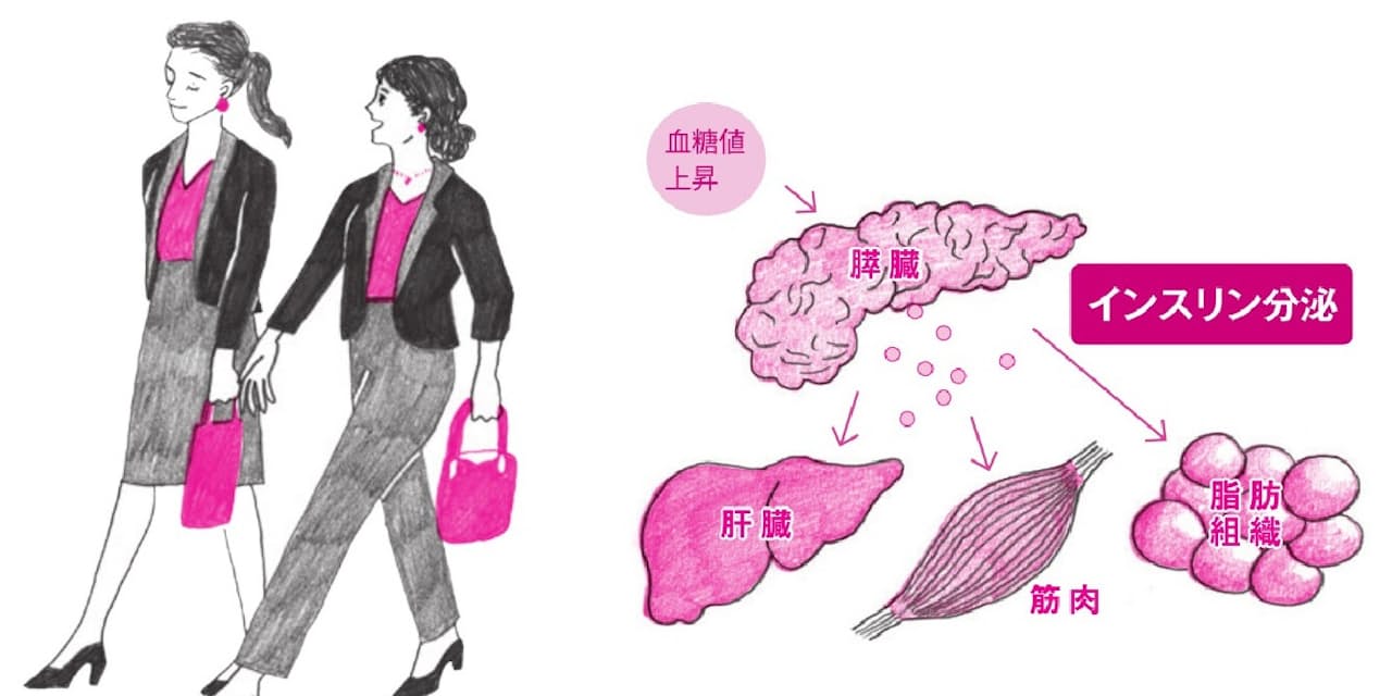 食後高血糖防ぐならやっぱり運動 早足歩きや階段歩行 Nikkei Style 食後高血糖防ぐならやっぱり運動 早足歩きや階段歩行 Nikkei Style