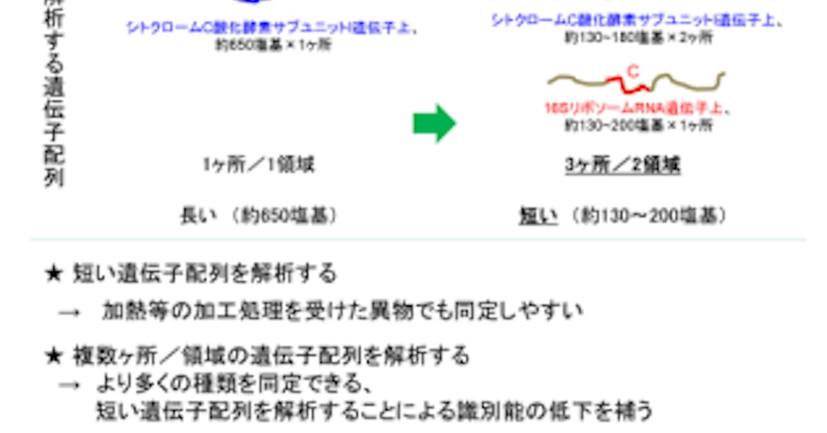 ハウス食品 虫異物同定技術をライセンスし分析キット 虫異物同定用プライマー として発売 日本経済新聞