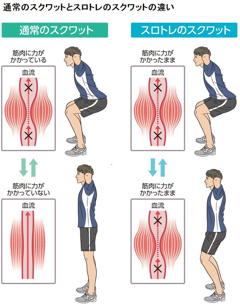 効率的に鍛えられる スロートレーニング スクワットで効率よく下半身を鍛えるコ Nikkei Style 効率的に鍛えられる スロートレーニング スクワットで効率よく下半身を鍛えるコ Nikkei Style