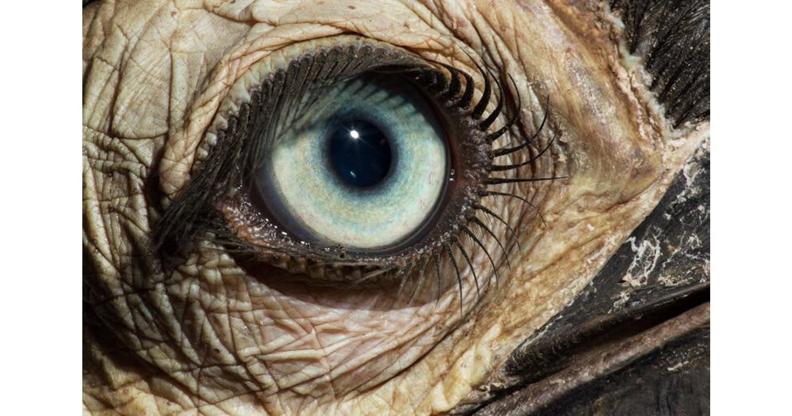 見る目が違う 人とは異なる世界が見える目の多様性 Nikkei Style 見る目が違う 人とは異なる世界が見える目の多様性 Nikkei Style