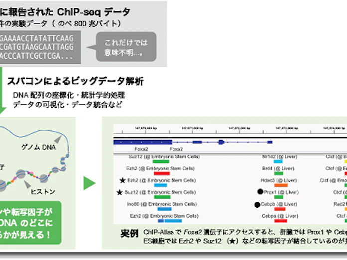 日本経済新聞