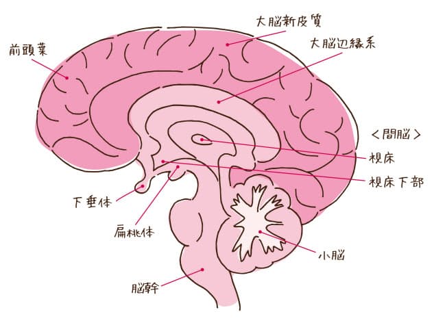 脳のパフォーマンス最大に 脳医学者お薦めの勉強法 Nikkei Style 脳のパフォーマンス最大に 脳医学者お薦めの勉強法 Nikkei Style