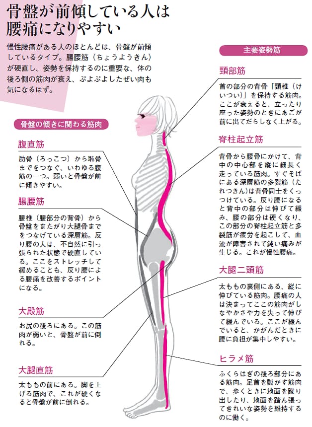 ぽっこり腹や腰痛の原因にも 反り腰 を改善 ゆがみリセット学 4 Nikkei Style ぽっこり腹や腰痛の原因にも 反り腰 を改善 ゆがみリセット学 4 Nikkei Style