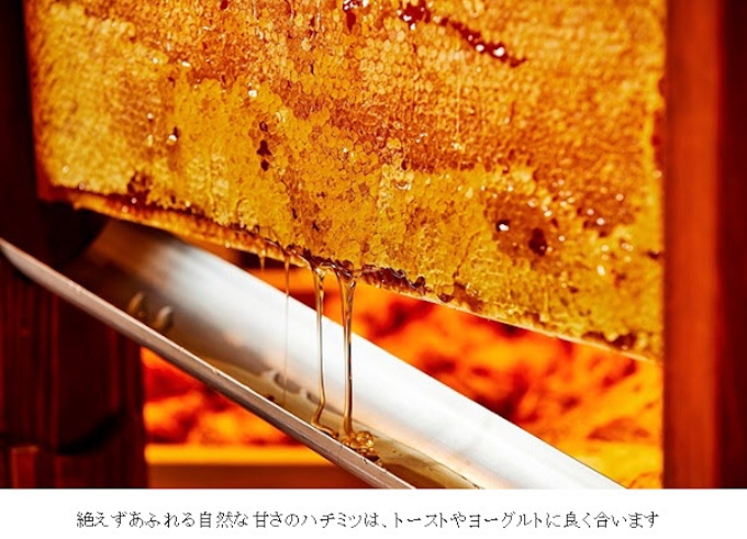 ホテル日航成田 セリーナ の朝食バイキングをリニューアル 蜂の巣から国産天然100 ハチミツを提供 日本経済新聞