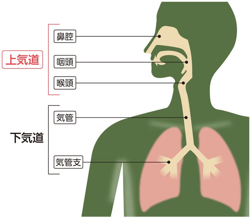 本物の風邪は受診の必要なし まず3症状をチェック Nikkei Style