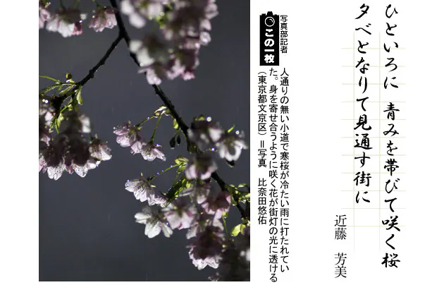 近藤芳美 戦後の春 短歌一口講座 桜 Nikkei Style 近藤芳美 戦後の春 短歌一口講座 桜 Nikkei Style