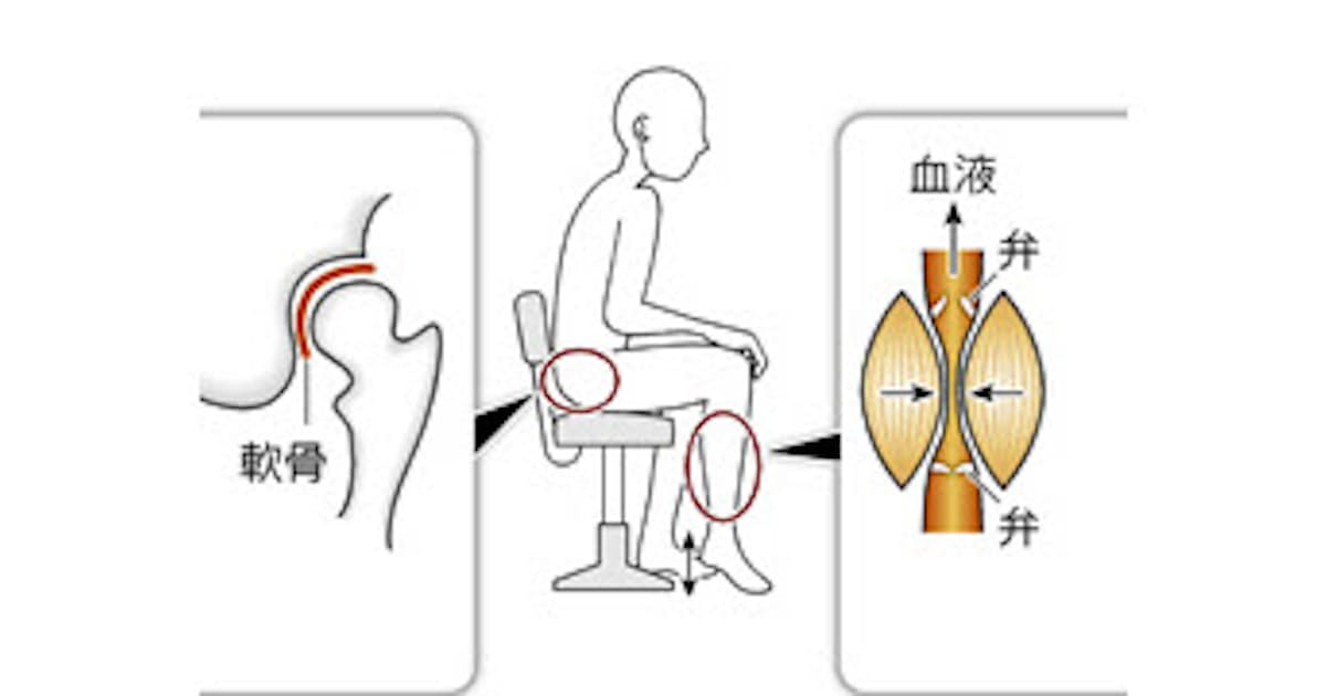 貧乏ゆすり 実は健康にプラス 日本経済新聞 貧乏ゆすり 実は健康にプラス 日本経済新聞