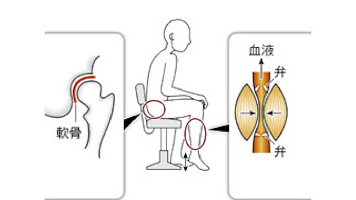 貧乏ゆすり 実は健康にプラス 日本経済新聞 貧乏ゆすり 実は健康にプラス 日本経済新聞