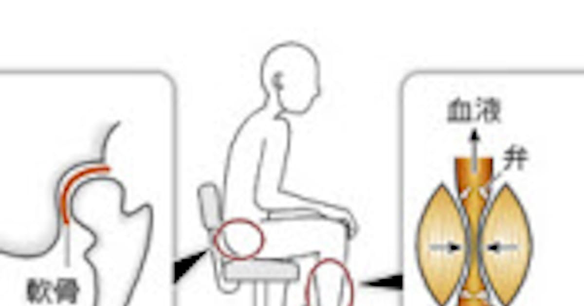 貧乏ゆすり 実は健康にプラス 日本経済新聞