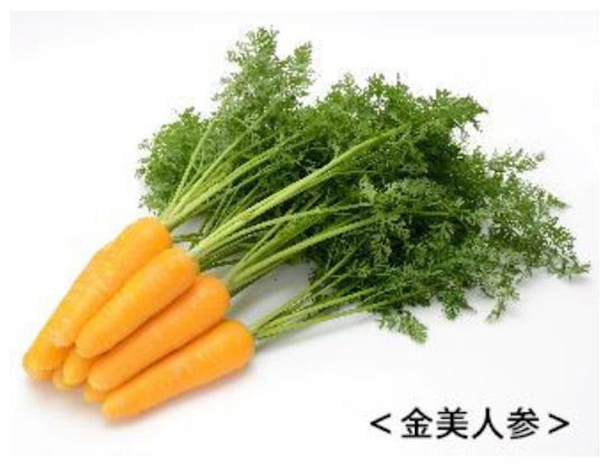 サラダクラブ Select Salad 金美人参やレタス お家で作るごちそうサラダ 春のサラダ用 を期間限定発売 日本経済新聞