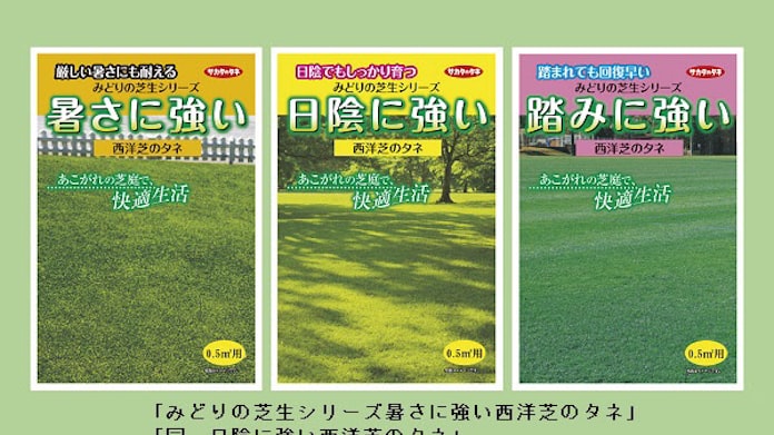 サカタのタネ 家庭用西洋芝種子 みどりの芝生シリーズ 暑さに強い 西洋芝のタネ など計3商品を発売 日本経済新聞 サカタのタネ 家庭用西洋芝種子 みどりの芝生シリーズ 暑さに強い 西洋芝のタネ など計3商品を発売 日本経済新聞