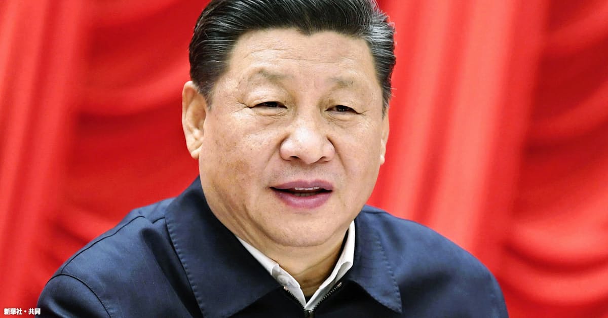 中国が恐れる 灰色のサイ 日本経済新聞
