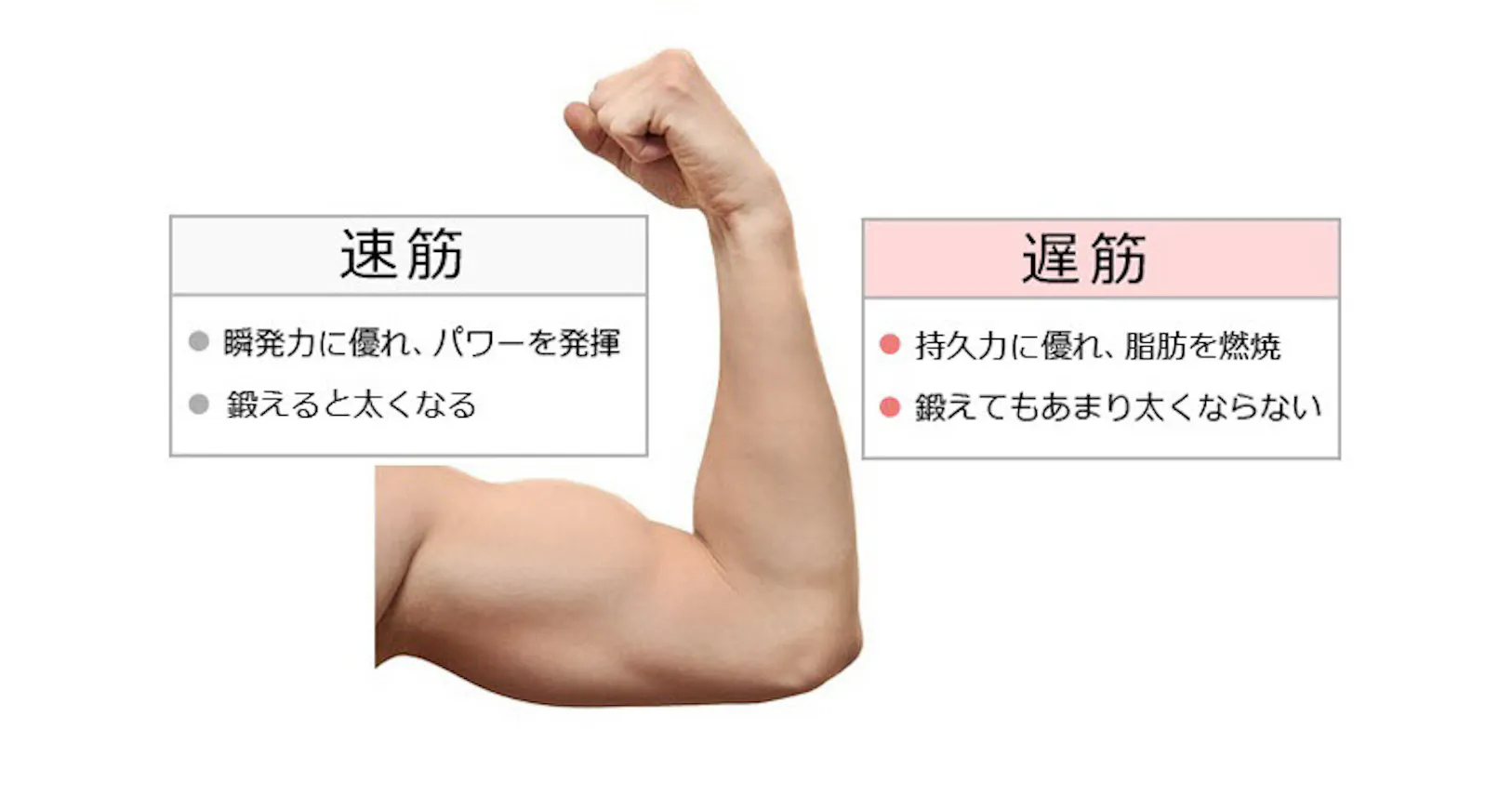 転ばない体づくり 鍛える筋肉は速筋と遅筋どっち?|ヘルスUP|NIKKEI STYLE