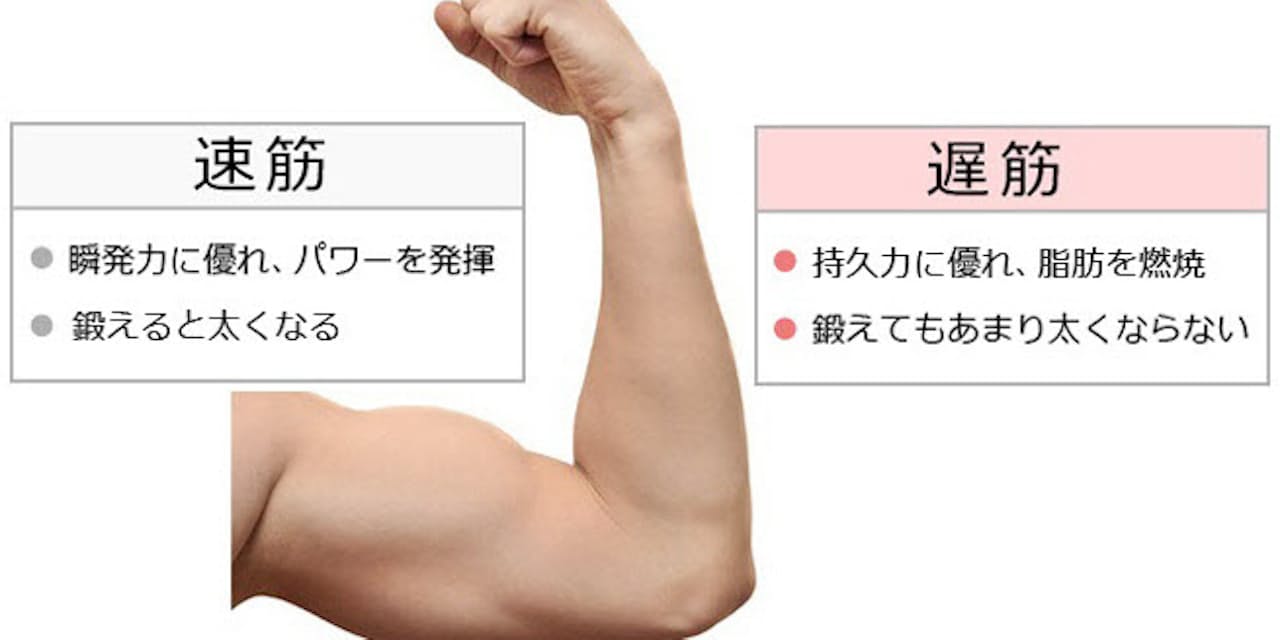 健康寿命を延ばすためにまず鍛えるべきは 速筋 転ばない体づくり 鍛える筋肉は Nikkei Style 健康寿命を延ばすためにまず鍛えるべきは 速筋 転ばない体づくり 鍛える筋肉は Nikkei Style