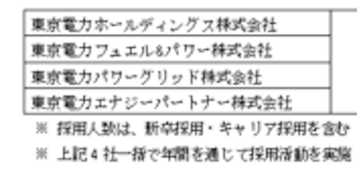 東京電力hdなどグループ4社 昨年度採用計画比ほぼ倍増の600人の年度採用計画を取りまとめ 日本経済新聞