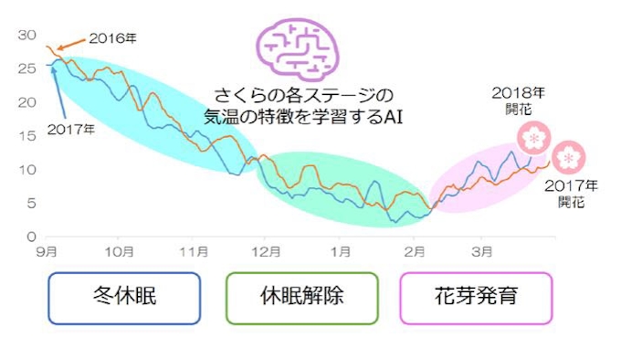 島津ビジネスシステムズ Aiによる桜の開花 満開予想モデルを大幅に改良し運用と予想の公開を開始 日本経済新聞