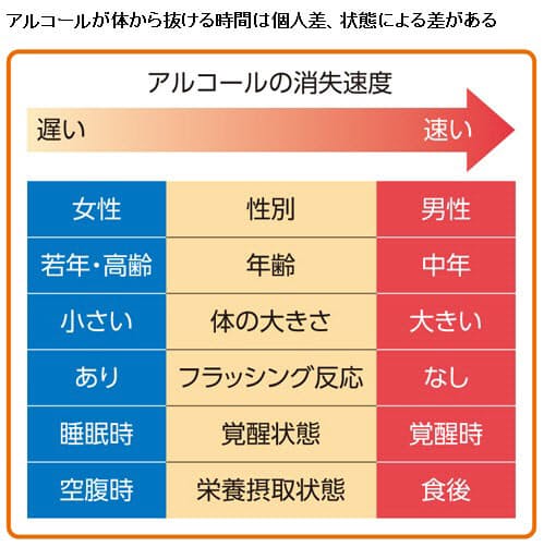 ビール500ml飲んだら何時間後に車運転できますか 飲酒運転は時間 Yahoo 知恵袋
