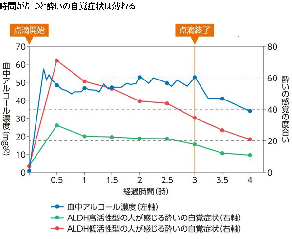 仮眠をとったほうがお酒が抜けない 二日酔いの朝は運転ng どれだけ時間空けるべ Nikkei Style