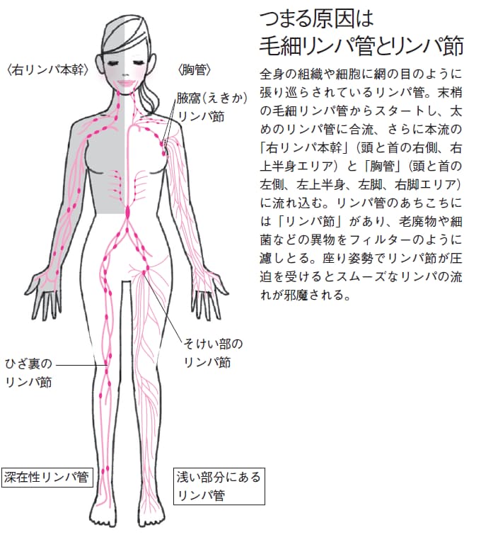 鼠径 部 痛み 足の付け根が痛い 医師が考える原因と対処法 症状辞典