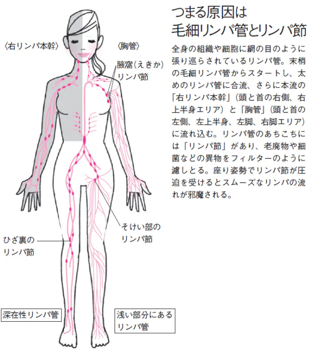リンパの流れを改善 座りむくみをほぐす ゆがみリセット学 8 Nikkei Style リンパの流れを改善 座りむくみをほぐす ゆがみリセット学 8 Nikkei Style