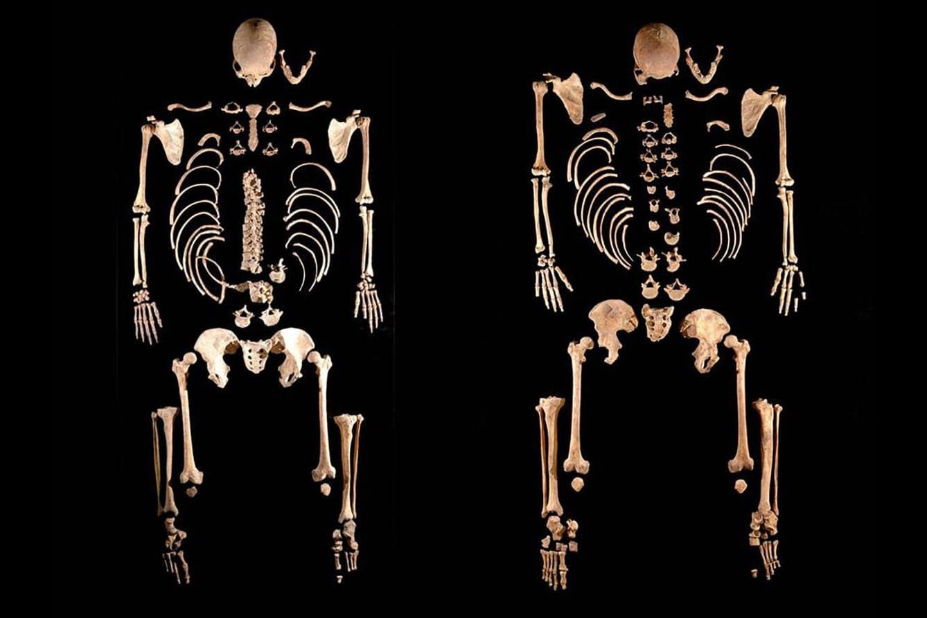 謎の男性大量流入 4500年前のスペインで何があった Nikkei Style 謎の男性大量流入 4500年前のスペインで何があった Nikkei Style