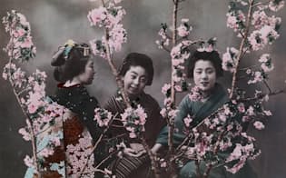 着物姿の日本女性と桜の木。エライザ・シドモアは後に、桜の木をワシントンD.C.にも植えようと尽力した。彼女は横浜の外国人墓地に眠っている（PHOTOGRAPH BY ELIZA R. SCIDMORE, NATIONAL GEOGRAPHIC CREATIVE）
