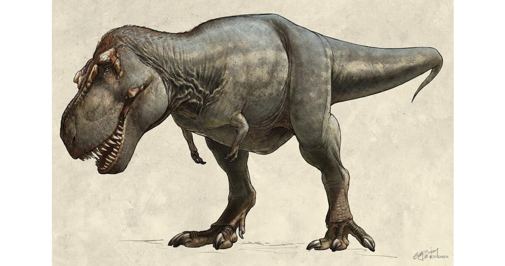 史上最大のティラノサウルス ゾウより重い約9トン Nikkei Style