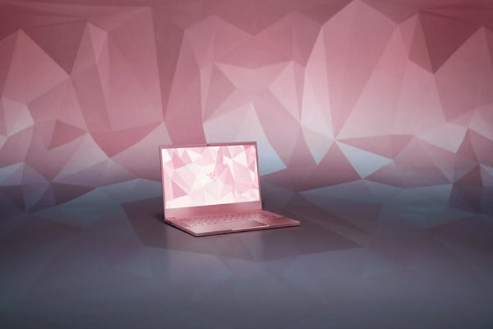Razer 薄型ノートpc Razer Blade Stealth 13 Quartz Pink を数量限定で国内発売 日本経済新聞 Razer 薄型ノートpc Razer Blade Stealth 13 Quartz Pink を数量限定で国内発売 日本経済新聞