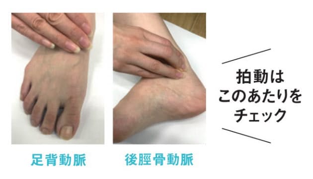 足のどこを見る 元気に歩き続けるポイント5つ Nikkei Style 足のどこを見る 元気に歩き続けるポイント5つ Nikkei Style