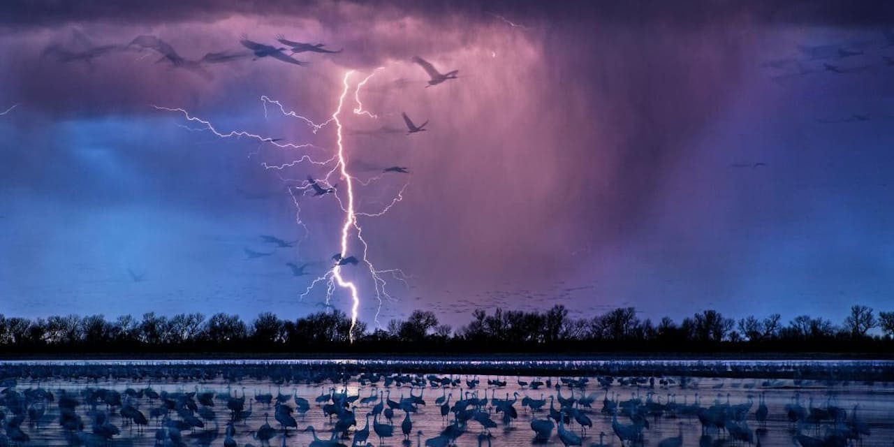 10億ボルト超に達する雷雲の電圧 新手法で解明 Nikkei Style