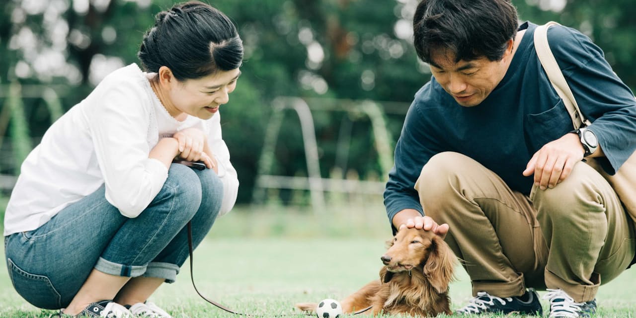 初対面で効く会話術 相手見ない 犬の散歩式 がいい 出世ナビ Nikkei Style