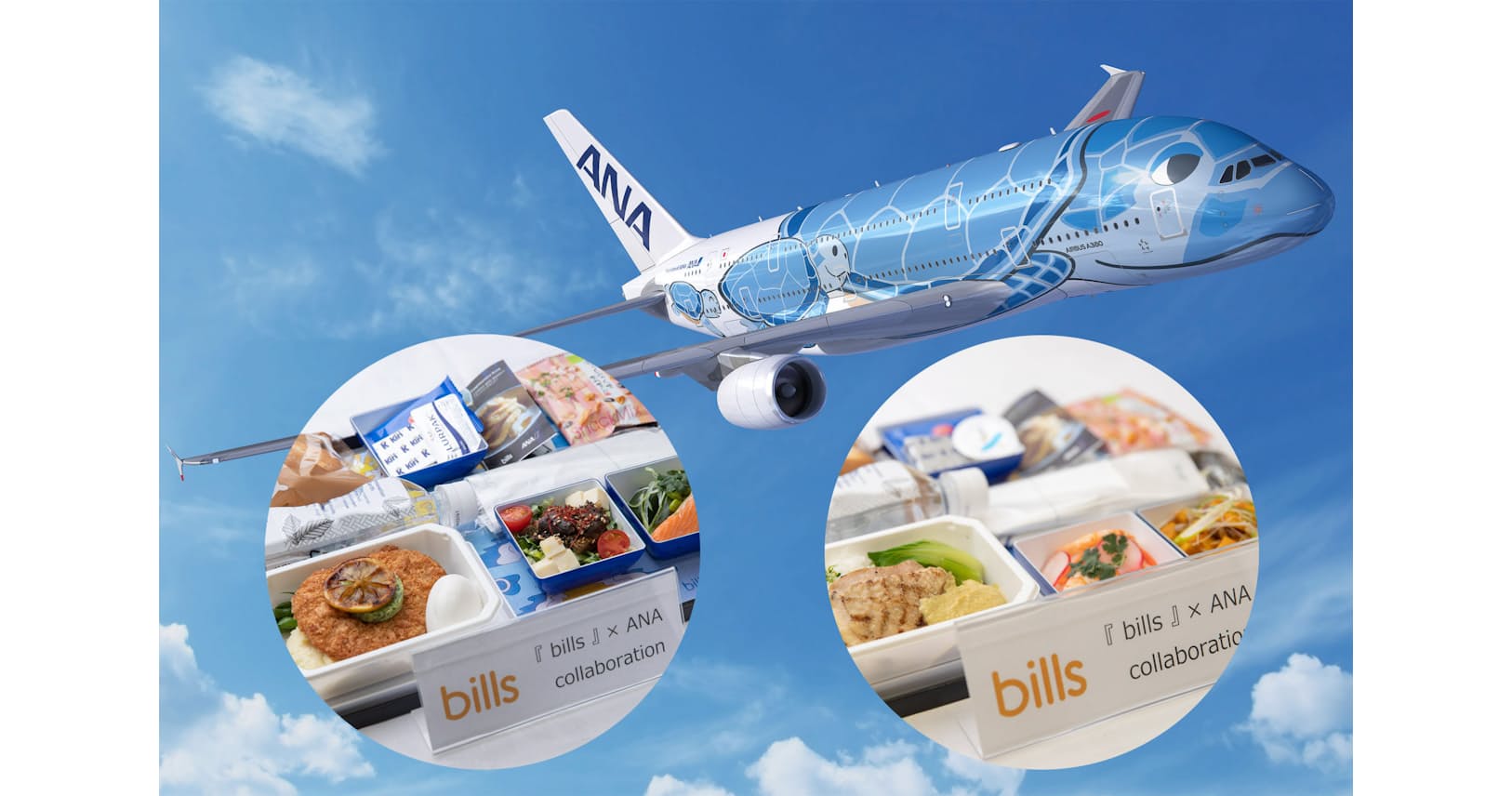 Anaハワイ便の機内食 エコノミーを1種類にした理由 Nikkei Style Anaハワイ便の機内食 エコノミーを1種類にした理由 Nikkei Style