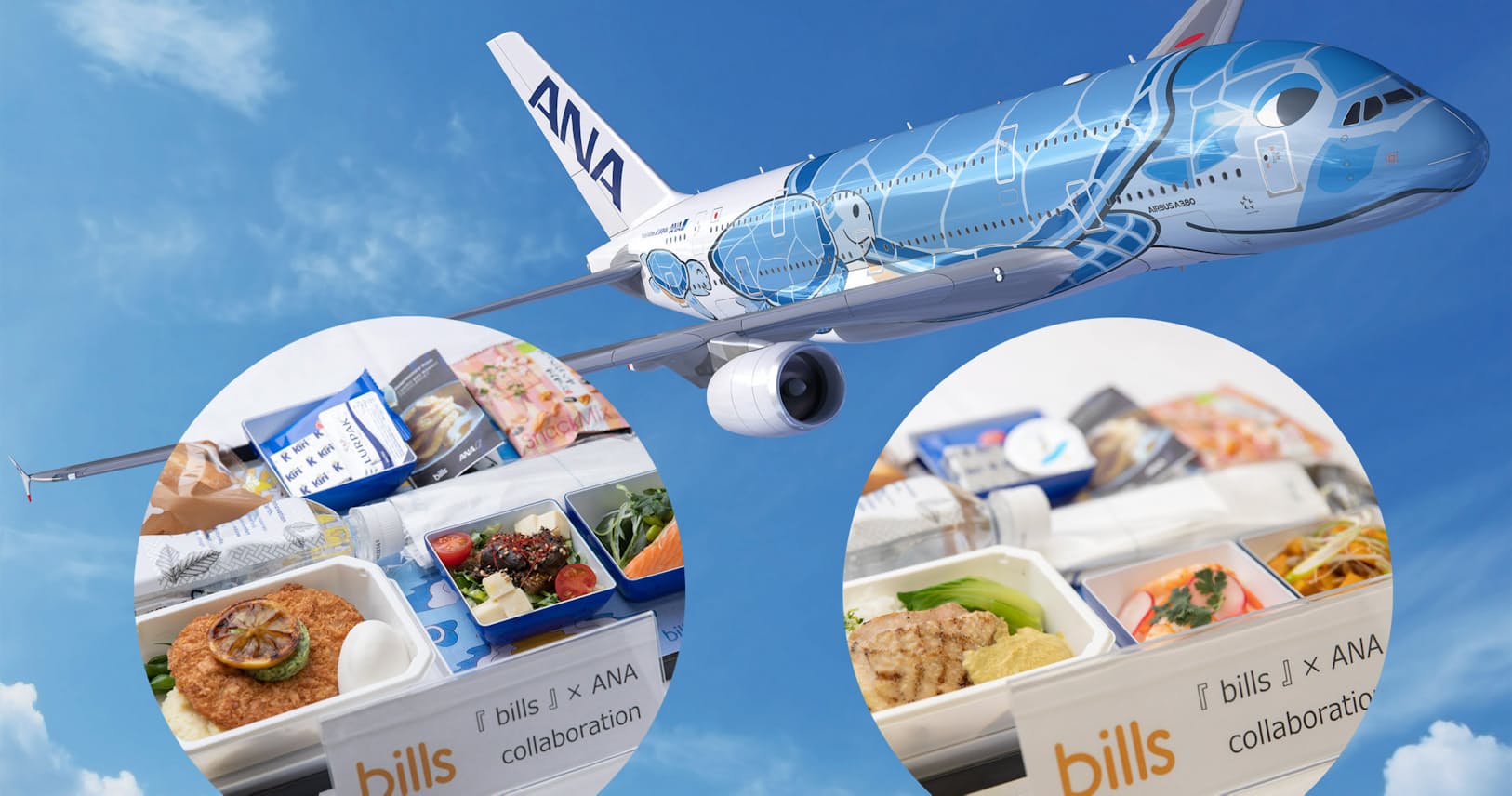 Anaハワイ便の機内食 エコノミーを1種類にした理由 Nikkei Style Anaハワイ便の機内食 エコノミーを1種類にした理由 Nikkei Style