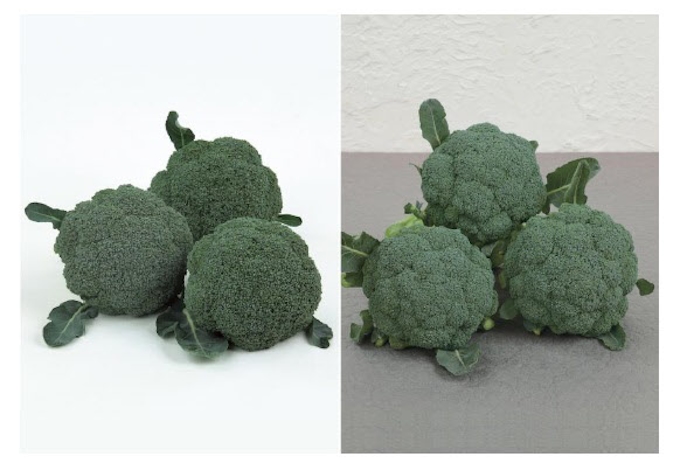 サカタのタネ アントシアンフリーのブロッコリー2品種の種子を発売 日本経済新聞