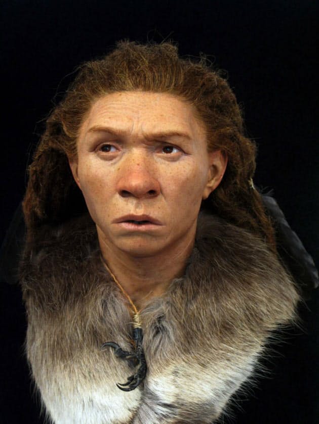 4万年前から6世紀まで こんなに変わった英国人の顔 Nikkei Style 4万年前から6世紀まで こんなに変わった英国人の顔 Nikkei Style