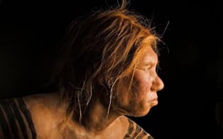 ネアンデルタール人女性の復元像。2008年に公開されたこの像は、古代のDNAの解析結果を利用して作成された最初の復元像だった（PHOTOGRAPHY BY JOE MCNALLY, NATIONAL GEOGRAPHIC CREATIVE）