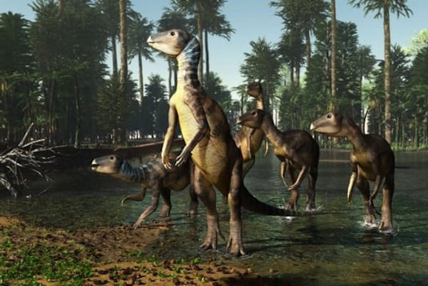 現在のオーストラリアにある浅い湖を、ウィーワラサウルスの群れが渡る(ILLUSTRATION BY JAMES KUETHER) 現在のオーストラリアにある浅い湖を、ウィーワラサウルスの群れが渡る(ILLUSTRATION BY JAMES KUETHER)