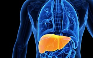 自分が脂肪肝かどうかは、どうすれば分かるのだろうか。(c)Sebastian Kaulitzki-123RF