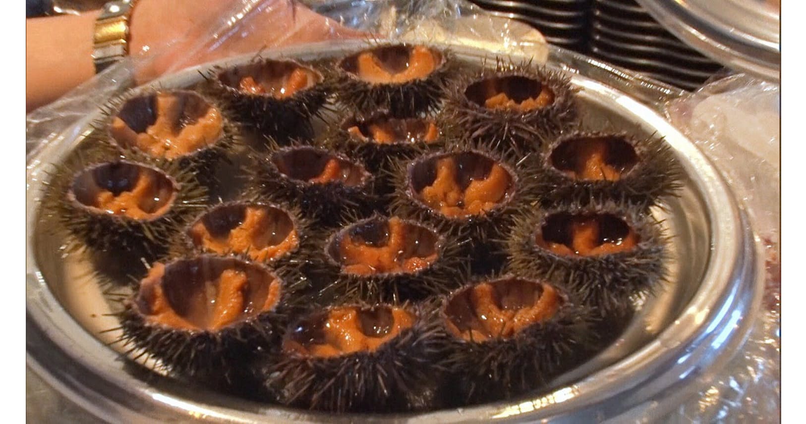 ノルウェーでウニを復活 カギは日本産コンブ Nikkei Style ノルウェーでウニを復活 カギは日本産コンブ Nikkei Style