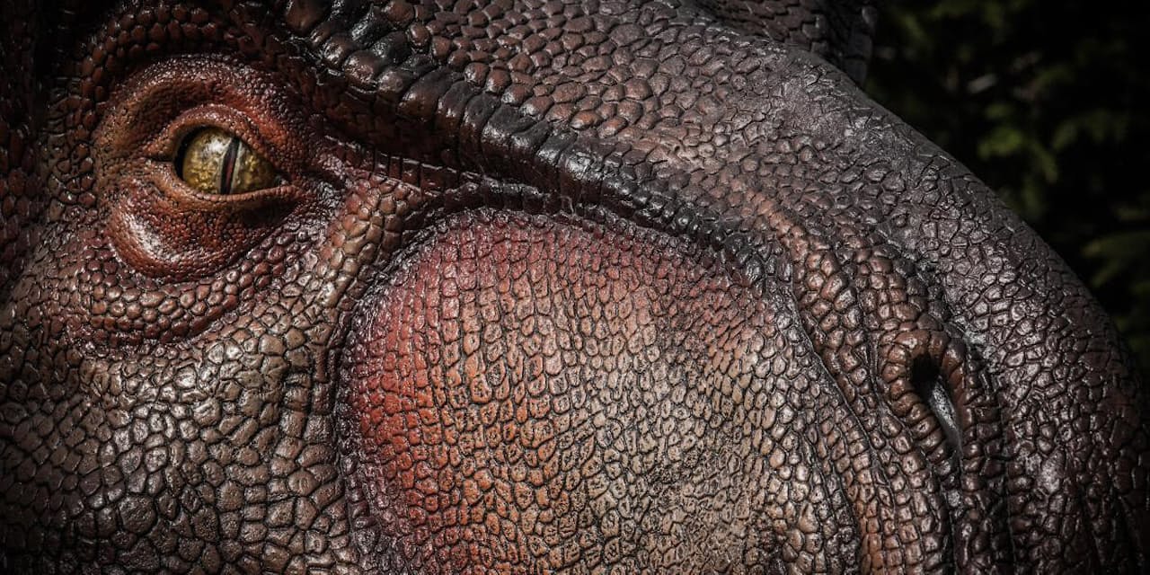 ティラノサウルス 驚きの嗅覚 全恐竜のトップクラス Nikkei Style ティラノサウルス 驚きの嗅覚 全恐竜のトップクラス Nikkei Style