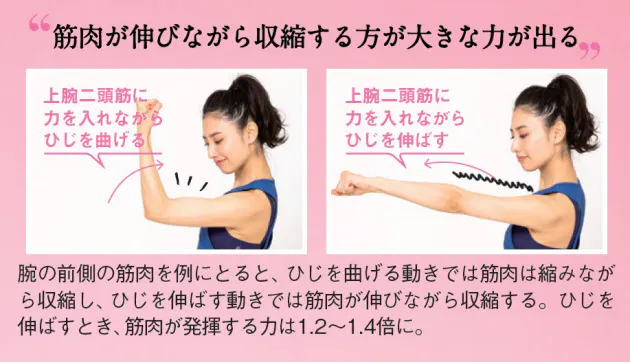 ずぼらでも筋肉は増える 週3回の 筋肉貯金 下腹 お尻 太ももを引き締め Nikkei Style ずぼらでも筋肉は増える 週3回の 筋肉貯金 下腹 お尻 太ももを引き締め Nikkei Style
