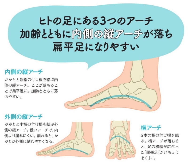 健やかに歩き続ける基本 足の3つのアーチを崩さない Nikkei Style 健やかに歩き続ける基本 足の3つのアーチを崩さない Nikkei Style