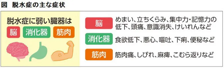 大量発汗時に水だけを大量に補うと 水中毒 になる危険 大量の汗をかいたとき 水 Nikkei Style