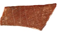 中国東部で最近出土した、刻線模様が彫られた親指ほどの大きさの2つの骨片のうちの1つ。これまで東アジアで最古とされていた抽象的な刻線模様よりも、さらに数万年さかのぼる（PHOTOGRAPH BY FRANCESCO D'ERRICO & LUC DOYON）