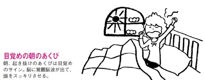 性のメカニズムと関係も あくび のヒミツ 日本経済新聞 性のメカニズムと関係も あくび のヒミツ 日本経済新聞