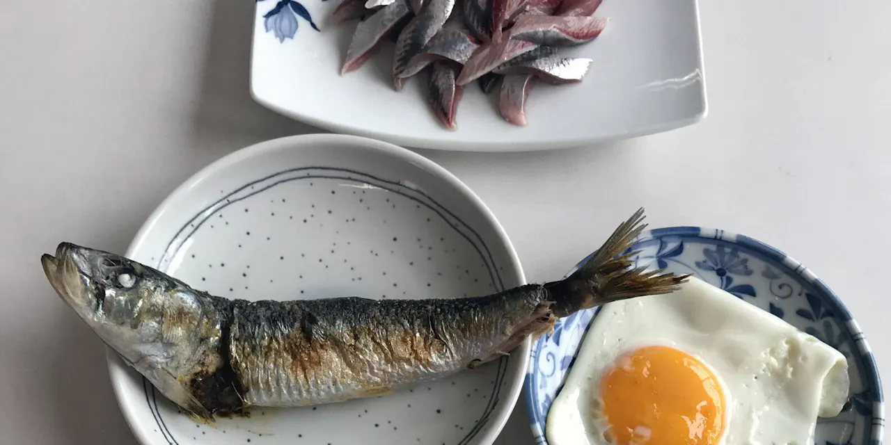 マイワシ大漁 秋の主役に 漁獲量トップ浮上の可能性 Nikkei Style マイワシ大漁 秋の主役に 漁獲量トップ浮上の可能性 Nikkei Style