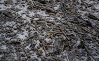 ヒマラヤ山脈、ループクンド湖の岸に人骨が散らばっている（PHOTOGRAPH BY HIMADRI SINHA ROY）